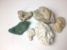 Lot of 6 pc. Fossil Fossilized Coral picture