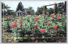 Allentown Pennsylvania, The Rose Garden, Vintage Postcard picture