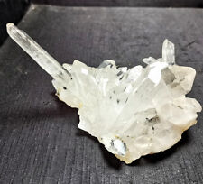 TOP 322.7 G Natural Clear white Crystal Crystal cluster Healing X177 picture