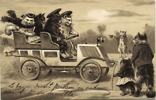 PC CATS, ANTHROPOMORPHIC CATS DRIVING, Vintage EMBOSSED Postcard (b47023) picture