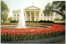 Postcard Tulips Grape Hyacinths Fountain North Lawn White House Washington DC picture