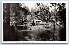 Old Vintage Antique Postcard Santa Cruz California Sequoia Gardens Swimming Pool picture