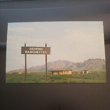 Deming New Mexico New Homes In Ranchettes Near Florida Mountains Postcard NM picture