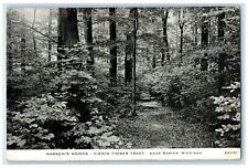 c1940 Warren's Wood Virgin Timber Tract Sawyer Michigan Vintage Antique Postcard picture