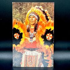 Vintage Native American Postcard - Cherokee Indian Chief picture