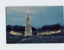 Postcard 57 12-Foot Tall Red Pine Trees 1969 Christmas Season Washington DC USA picture