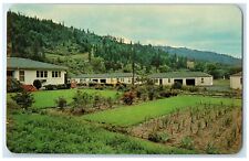 c1960's Riverside Motel Exterior Clearwater River Idaho ID Unposted Postcard picture