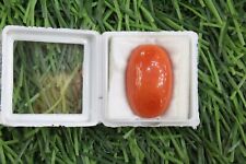 Natural Italian Red coral wt- 19 crt / italy  - AAA+  LAB CERTIFIED picture
