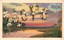 Vintage Postcard 1909 The Language Of Flower Snowdrop Hope Remembrance Card picture