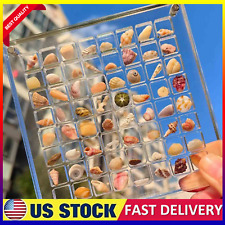 Acrylic Magnetic Seashell Display Box, 36/64/100 Grids Seashell Display Box NEW picture