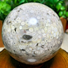 445g Natural Marine Jasper Ecological Coral Fisheye Crystal Quartz Energy Sphere picture