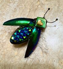 Thai Handcrafted Green Elytra Beetle Pin Brooch Real Beetle Wings, Stunning picture