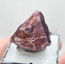 LARGE Red Spinel from Vietnam, Fluorescent, Comes w/ Display Case, 99 carats picture
