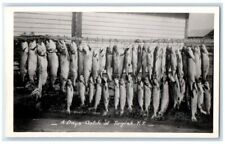 c1920's A Day's Fish Catch At Tagish Yukon Territory Canada RPPC Photo Postcard picture