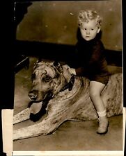 GA163 Original Underwood Photo LITTLE FELLOW AND A BIG DOG Great Dane Cute Boy picture