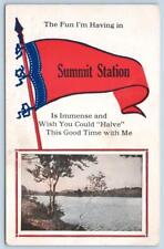 1910's SUMMIT STATION PENNSYLVANIA*PA*PENNANT POSTCARD*HAVING IMMENSE FUN picture
