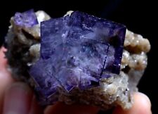 85g Natural COMPLETE PURPLE & Blue FLUORITE MINERAL SAMPLES/YaoGangXian China picture