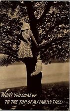 1912 YOUNG LOVERS WON'T YOU COME UP TO THE TOP OF MY FAMILY TREE POSTCARD 14-135 picture