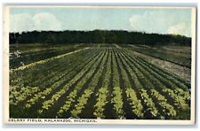 c1905 General View Celery Field Kalamazoo Michigan MI Vintage Antique Postcard picture