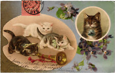 PC CATS, FOUR CATS WITH FLOWERS, Vintage Postcard (b46835) picture