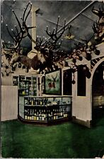 Postcard Interior of a Bar Game Deer Buck Taxidermy Mounts, Texas~139526 picture