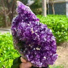 1.45LB  Very Rare Natural Amethyst Flower Cluster Specimen Healing picture