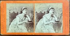 Neat 1860s Royal Imperial Court Vienna Austria Stereoview by Luckhardt NR picture