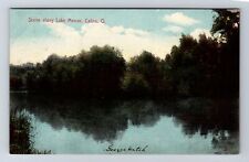 Celina OH-Ohio, Scene Along Lake Mercer, Antique, Vintage Postcard picture