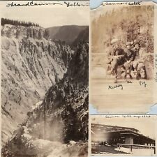 x3 LOT 1951 Yellowstone Grand Canyon Hotel Cabin Lodge Real Photo Snapshots C55 picture
