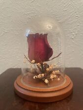 Vintage Dried Red Rose Flower Arrangement Preserved in 4 3/4” Glass Dome picture