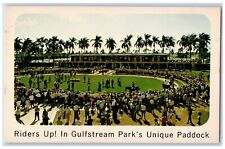 c1910's Riders Up In Gulfstream Park's Unique Paddock Hallandale FL Postcard picture