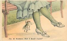 Postcard C-1910 Mosquito suck Woman's legs comic humor TP24-1863 picture