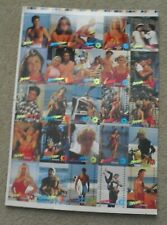 Rare Uncut 1995 Sheet of Baywatch Rainbow Insert Trading Cards picture