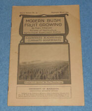 1925 Minnesota University Agricultural Bulletin #79 Modern Bush Fruit Growing picture