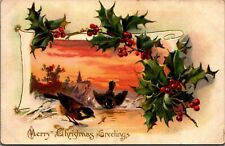 c1906 Merry Christmas Greetings Birds Holly Vintage Tuck Postcard picture
