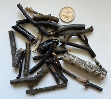 RARE BLACK CORAL 100% Natural Branches 72 grams for Making Jewelry picture