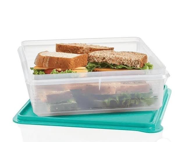 New Tupperware 9 X 9 Square Snack And Store Container