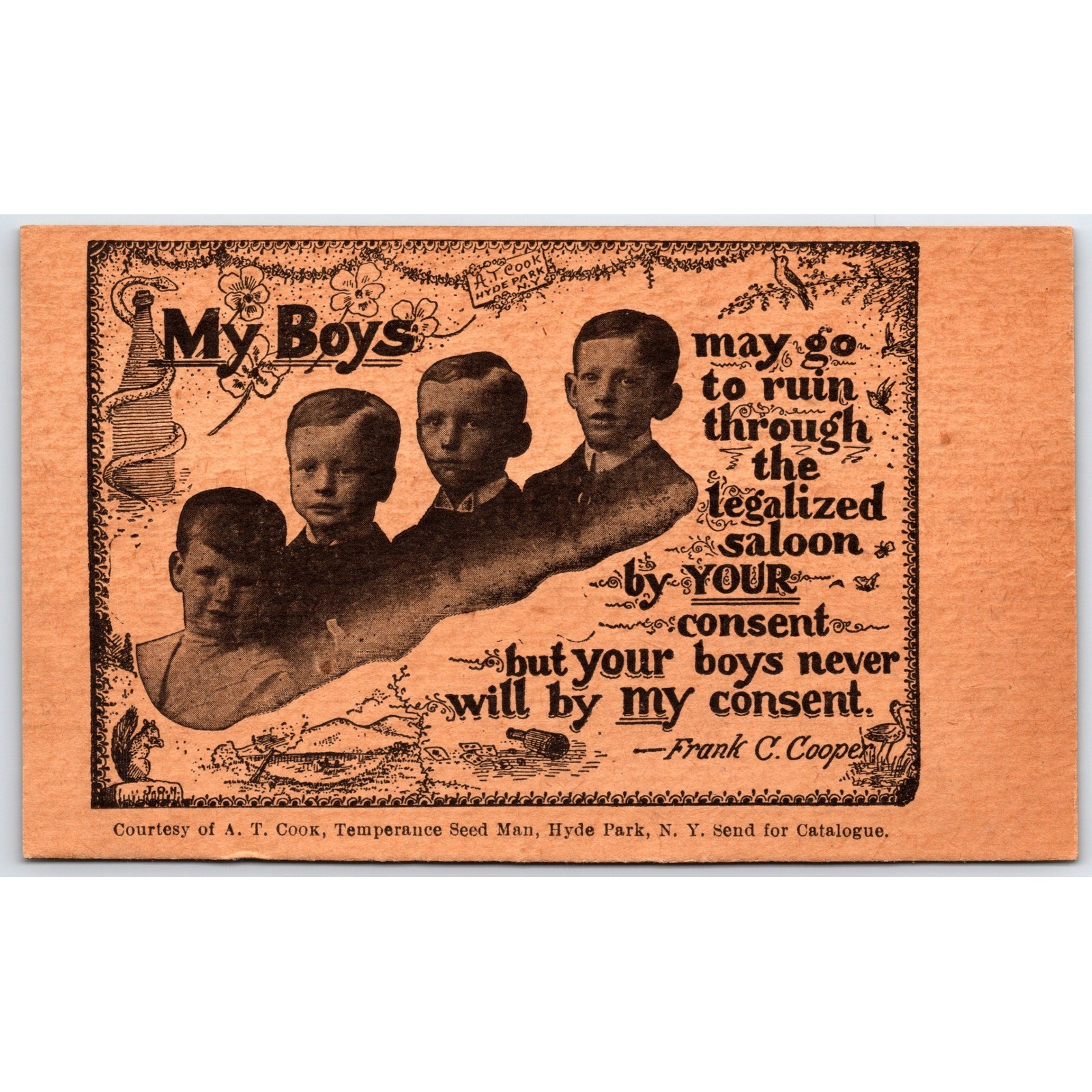 Antique Temperance Movement Postcard My Boys Frank C Cooper AT Cook Hyde Park NY