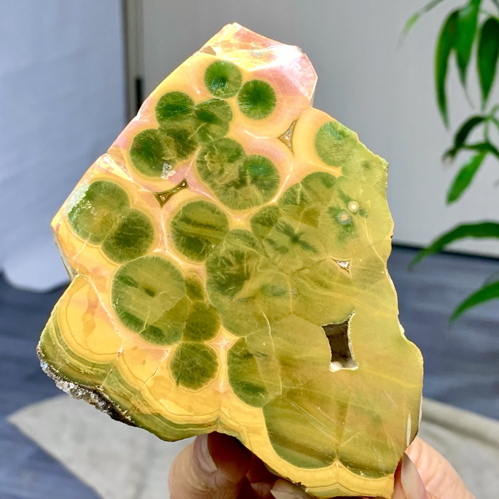549G Natural Bumblebee Ocean Jasper Quartz Crystal Specimen Healing/Madagascar