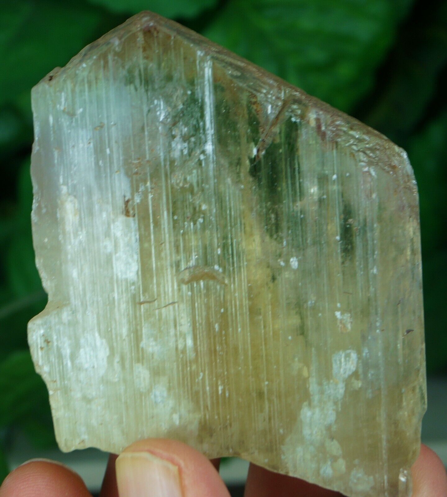 Jumbo Kunzite light lemon color terminated crystal mineral specimen 185 Grams 