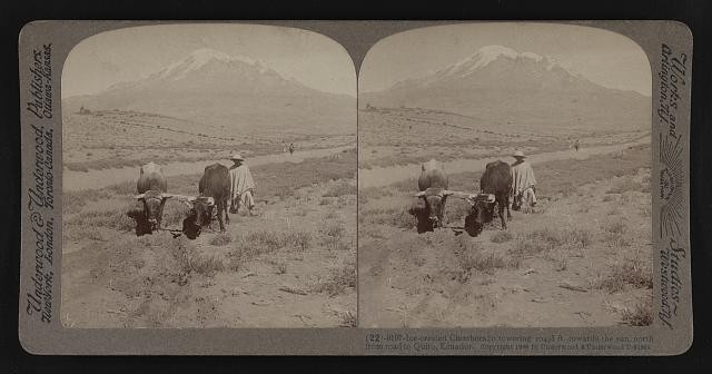 Photo:Chimborazo Ecuador 1900s Ice-Crested Mountain Cattle Road Stereoview
