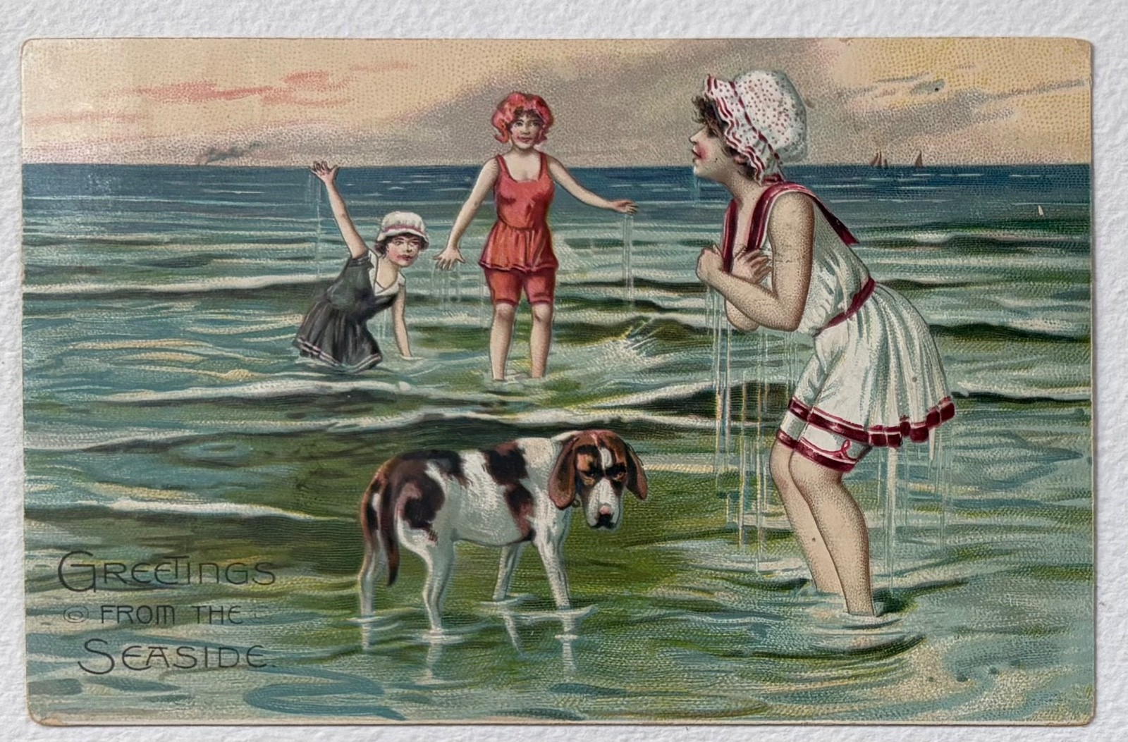 c. 1900 embossedpostcard Tuck “Greetings From the Seaside” bathing beauties, dog