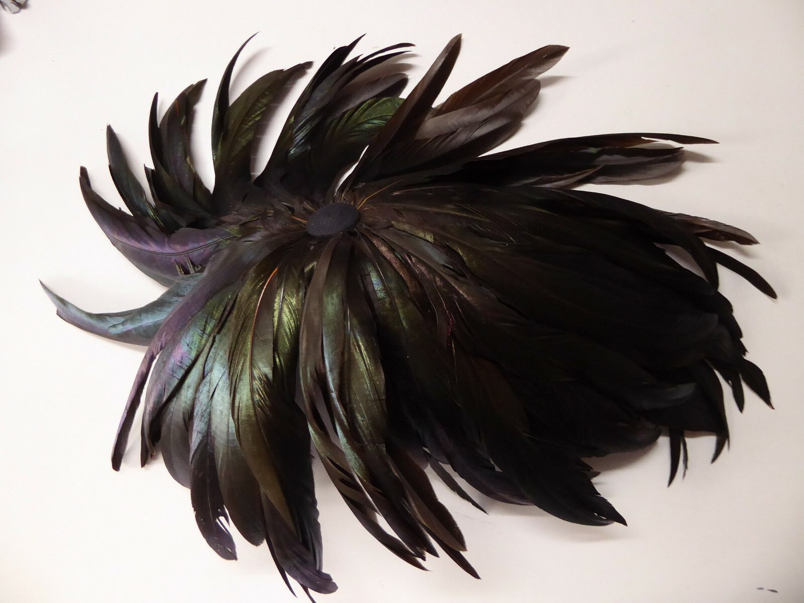 Bersaglieri feathers for Italian M33 helmets or Hats Made in Italy