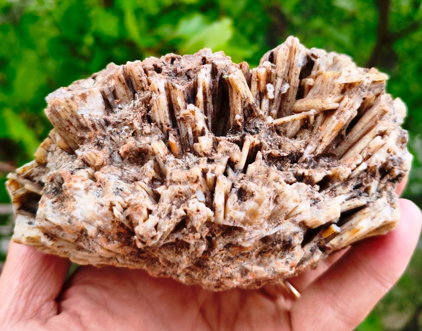 2 Lb 3.3 Oz Extremely Rare Agate Pseudomorph After Zeolite