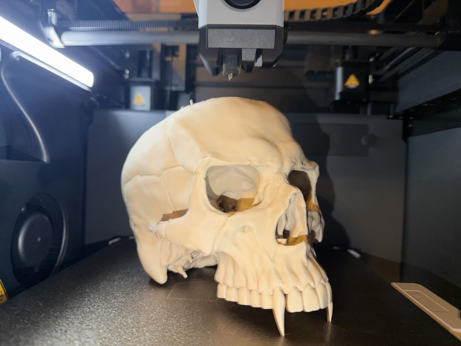 vampire skull 3d print