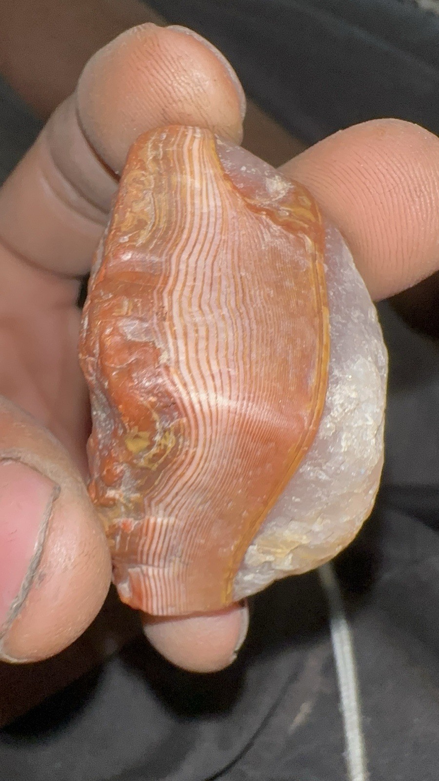 Lake Superior Agate Separate Float Faces Incredible Bands And Amazing Eye Clean