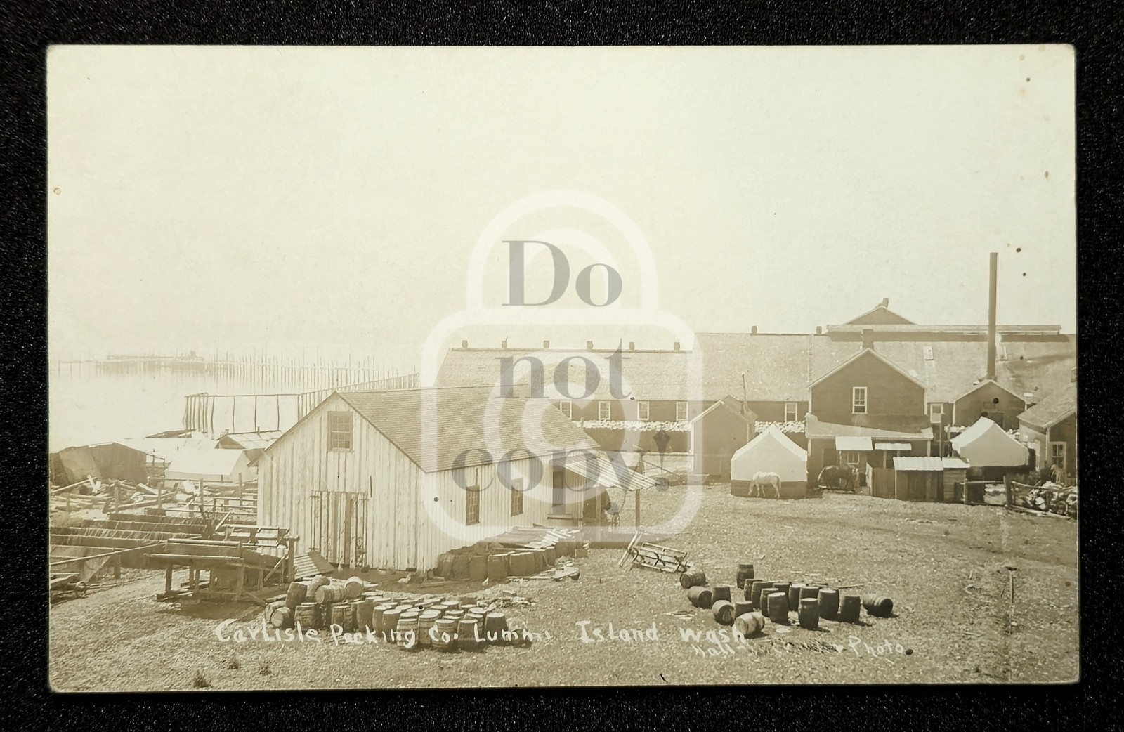 Rare RPPC Carlisle Packing Co. Lummi Island Washington. C 1913 Whatcom Co. 