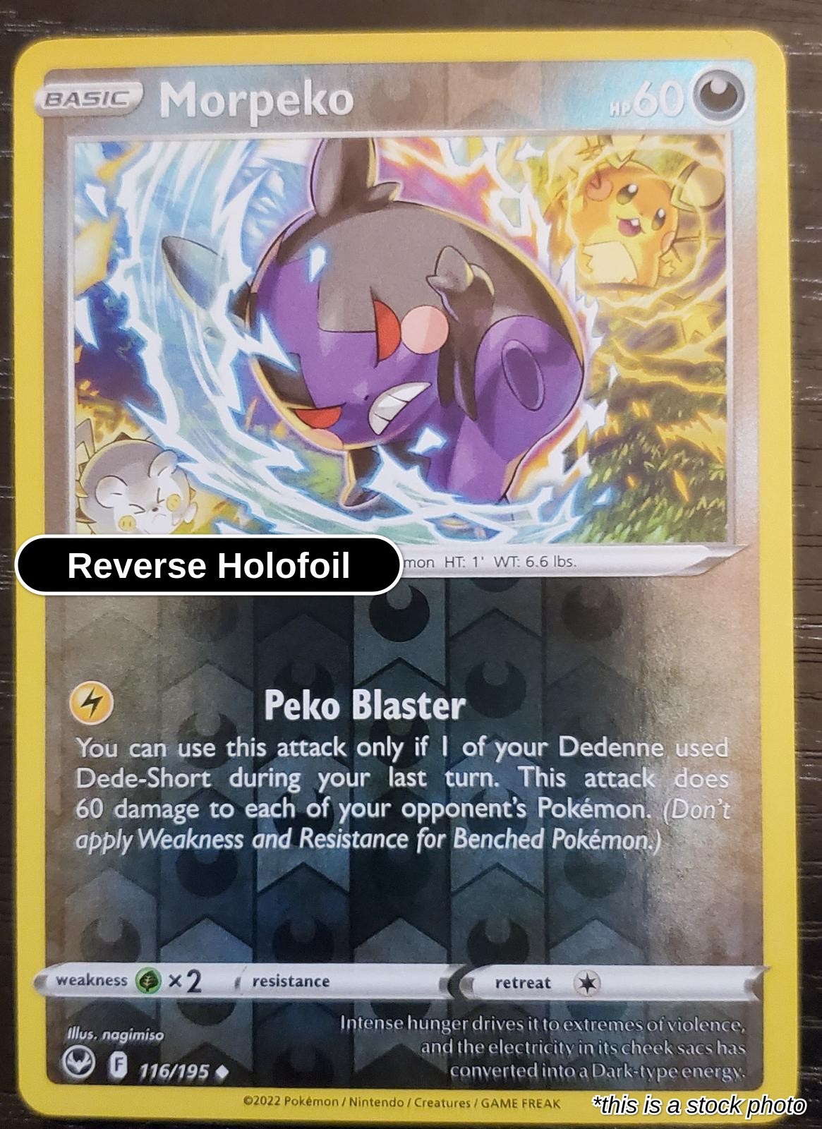 Morpeko : SWSH12 Reverse Holofoil - 116/195 Near Mint Morpeko : SWSH12 Reverse Holofoil - 116/195 Near Mint