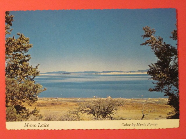 Photo Postcard - Mono Lake  -  Scalloped Edge / Unposted.