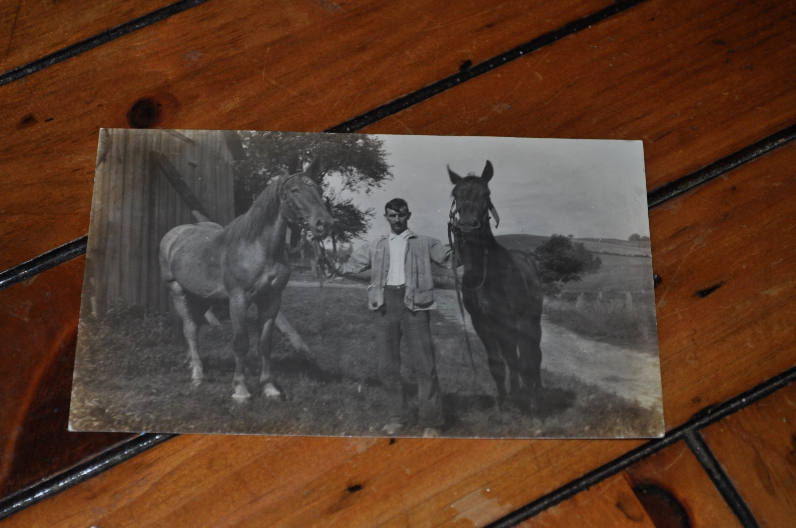 Vintage Postcard - Man With 2 Beautiful Horses - RPPC